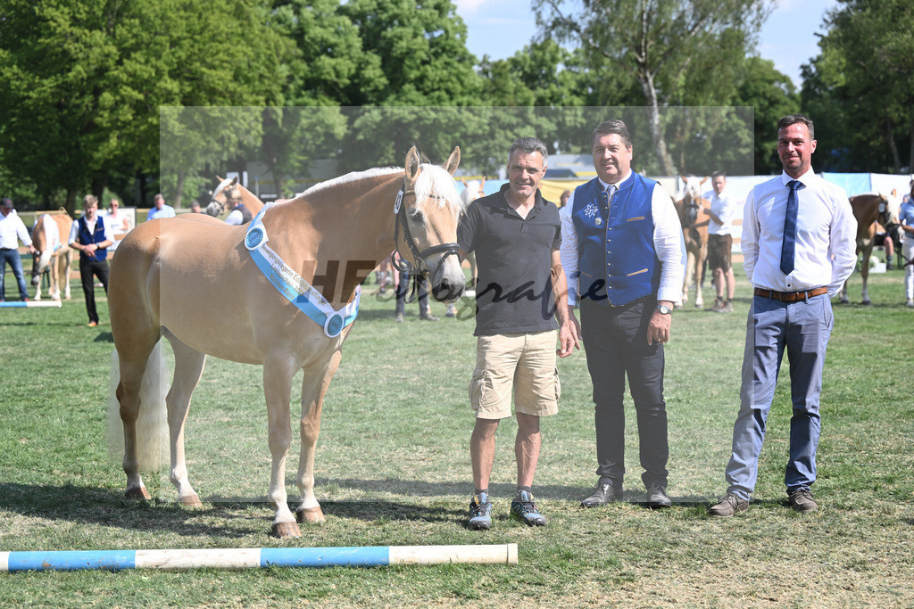 Kat-Nr. 43 Olena_Schuler_20231542 | hf-fotografie - Realisiert mit Pictrs.com
