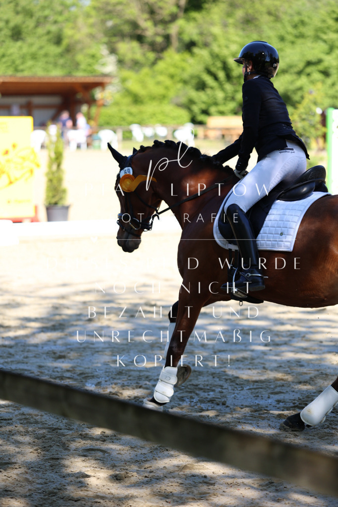 IMGS0720 | pl-fotografie