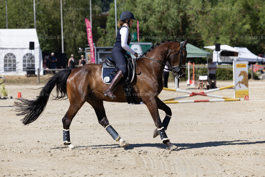 WL_Speed_41_KerstinBernhardt-3 | working equitationturnier fotograf videograf stoibphotography marixx film working equitation deutschland reitsport turnierfotografie eventfotografie equestrian events