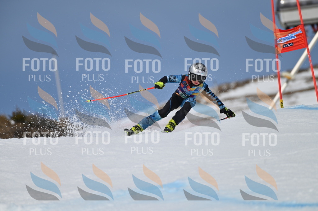 BGV_7249 | holidayphoto