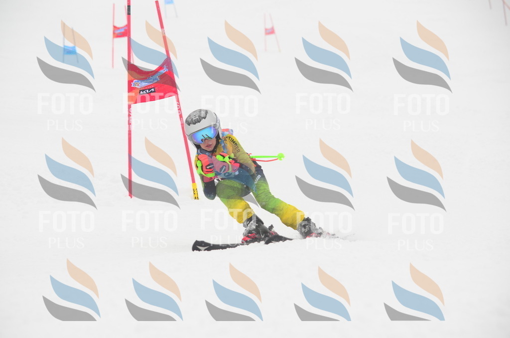 C0790 | holidayphoto