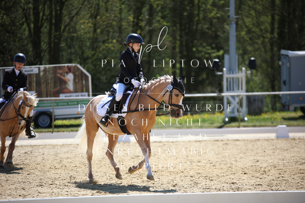 IMGT0692 | pl-fotografie