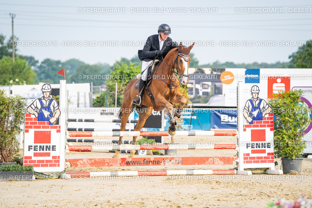 DSC09066 | Pferdegrafie