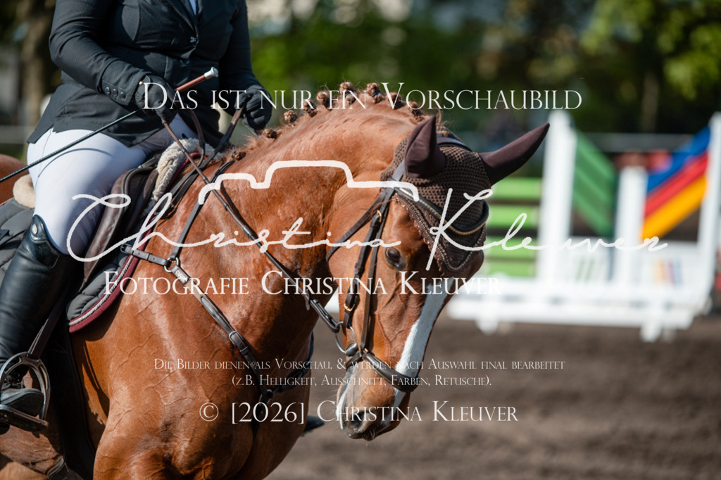 DSC_8573 | Christina-Kleuver