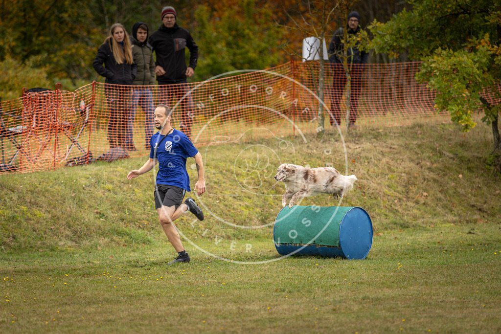 Pfotenfotografie_DV3A5883 | Hundefotografie, Tierfotograf, Pfotenfotografie, Fotoshooting Hund, Hunde Portrait, Hundesport, Hundeportraits, Heideshooting, Hunde, Sportfotograf, Hundefotograf, Turnierhundsport, THS,  - Realisiert mit Pictrs.com