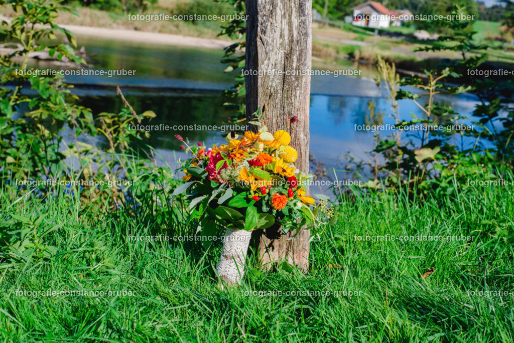 1017 | Fotografie Constance Gruber - Realisiert mit Pictrs.com