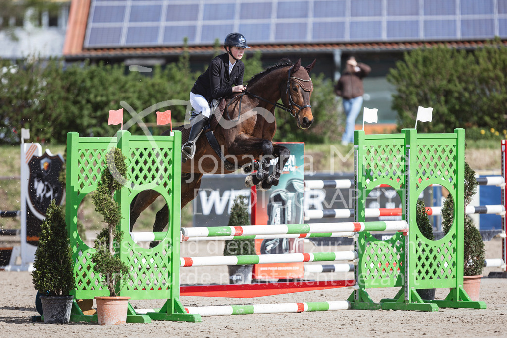 250419_Frühlingsfest_A-Stil1-427 | Deine schönsten Turniermomente als professionelle Fotos! Entdecke hochwertige Pferdesport-Fotografie im Online-Shop. Jetzt Fotos finden & bestellen!