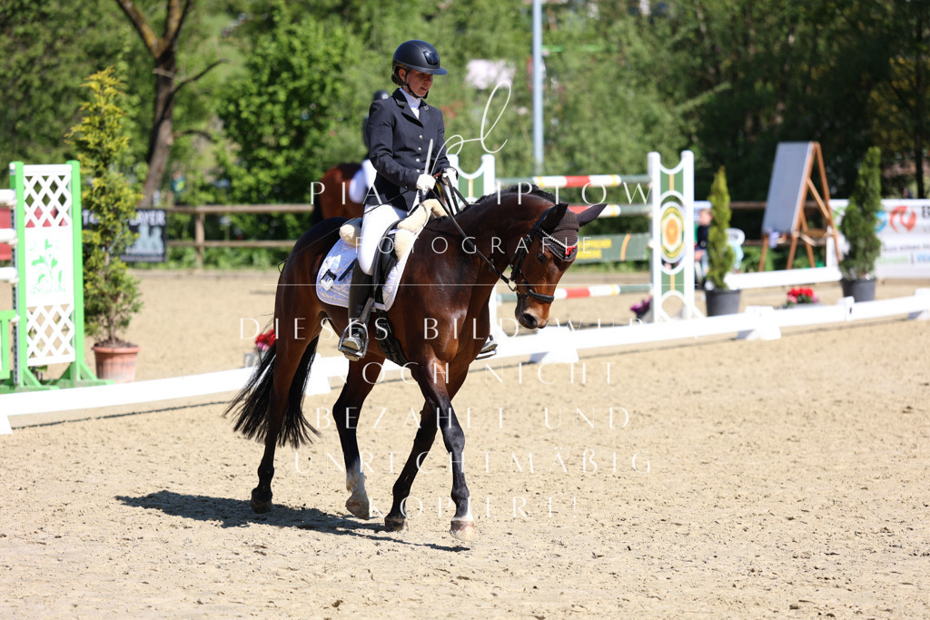 IMGT0556 | pl-fotografie