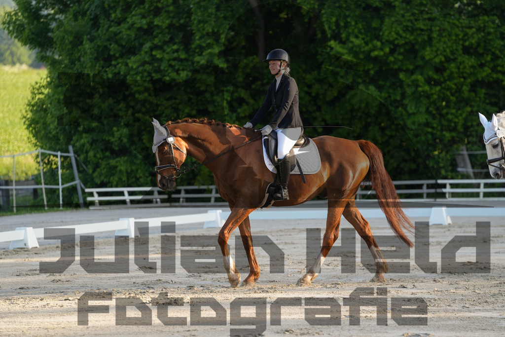 DSC02579 | Julian Held Fotografie - Realisiert mit Pictrs.com