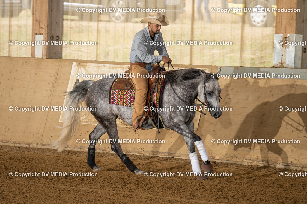 LAU01576 | dv-media-shop - Realisiert mit Pictrs.com