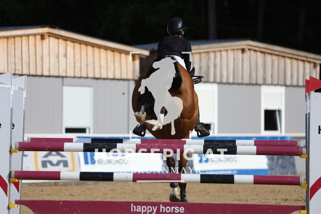 0P6A6231 | Willkommen bei Brunnmayr - Design & Fotografie – Ihrem Spezialisten für Reitturniere und Pferdeveranstaltungen in Oberösterreich, Salzburg und Bayern! Seit über 17 Jahren sind wir leidenschaftlich dabei.