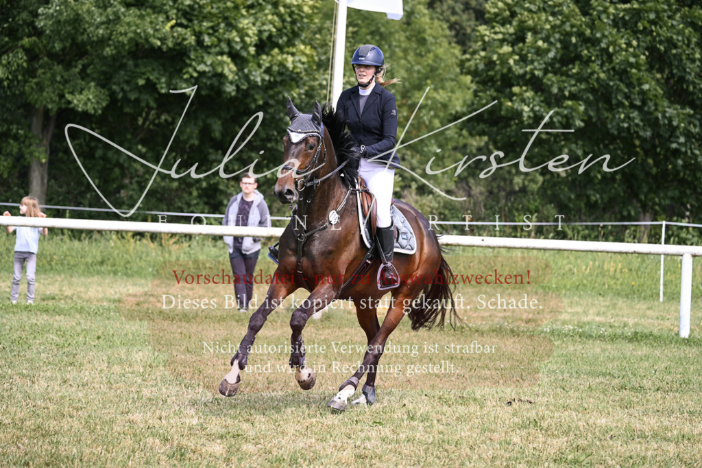 DSC_0534 | Pferde- und Turnierfotografie in Westsachsen. Pferdeportraits, Auftragszeichnungen und intuitive Kunst.