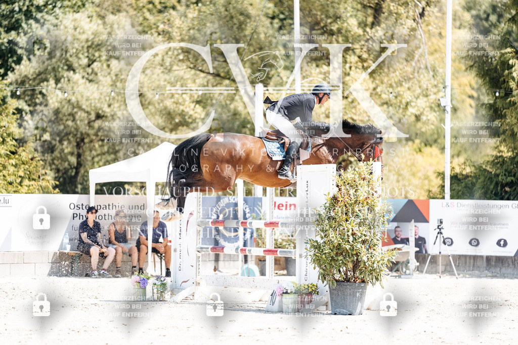 CK900151 | Turnierfotografie Pferdefotografie Trier Rheinland-Pfalz Pferdesport Reitsport Tierfotografie Sportfotografie Pferdevideo Pferdevideografie Equestrianvideography equestrianphotography  - Realisiert mit Pictrs.com