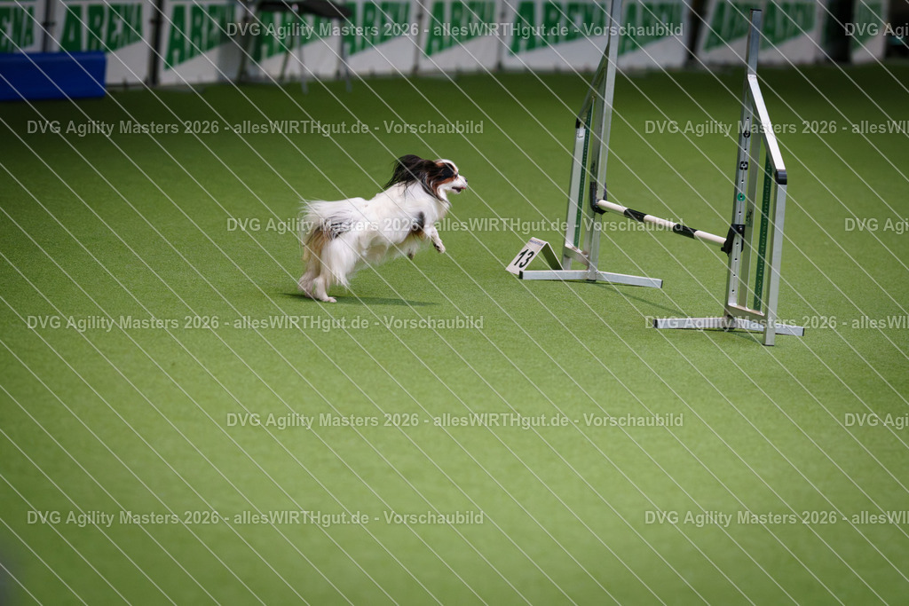 allesWIRTHgut_Tierfotografie-DVG_Agility_Masters_2026-08_42-7R501227 | Professionelle Tierfotografie in Mönchengladbach von Daniel Wirth (allesWIRTHgut). Liebevolle & natürliche Bilder von Hunden & Katzen für unvergessliche Erinnerungen.