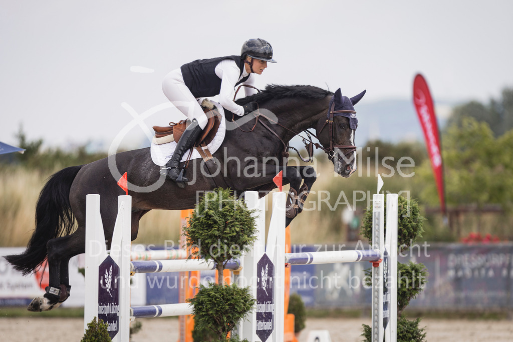 250628_PfSpTa_Youngster-M2-365 | Deine schönsten Turniermomente als professionelle Fotos! Entdecke hochwertige Pferdesport-Fotografie im Online-Shop. Jetzt Fotos finden & bestellen!