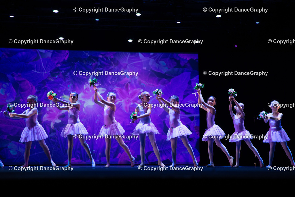 GPHY4866 | DanceGraphy - Realisiert mit Pictrs.com