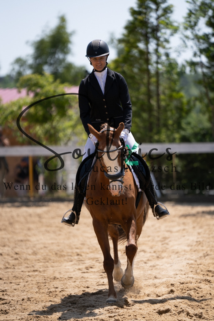 A7V08235 | Pferdefotograf