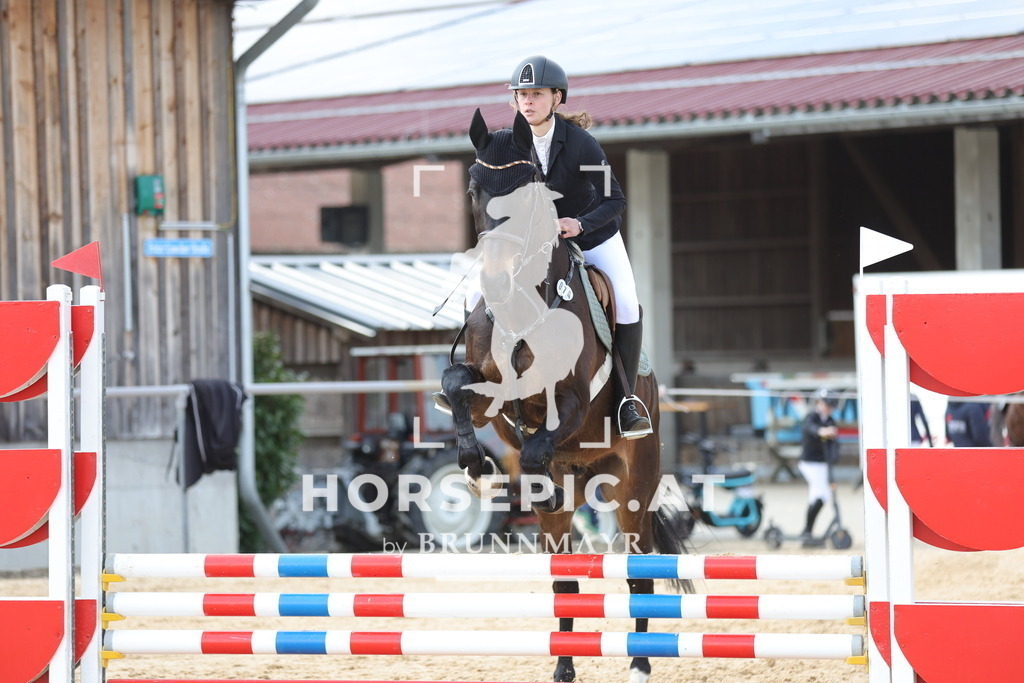 0P6A7079 | Willkommen bei Brunnmayr - Design & Fotografie – Ihrem Spezialisten für Reitturniere und Pferdeveranstaltungen in Oberösterreich, Salzburg und Bayern! Seit über 17 Jahren sind wir leidenschaftlich dabei.