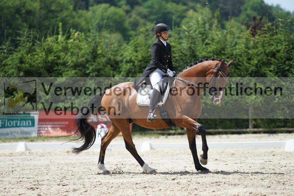 DSC05217 | equestrian-live-com