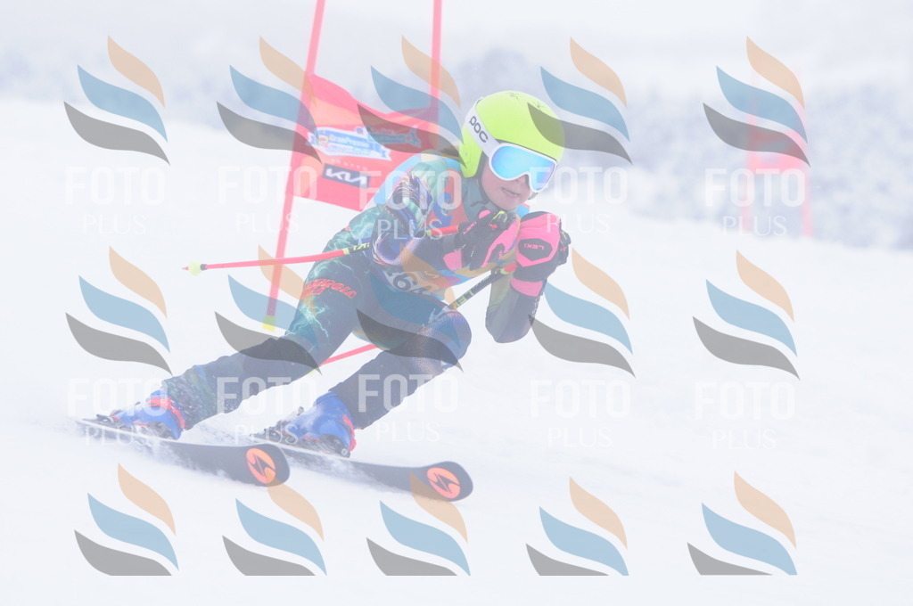 C2772 | holidayphoto