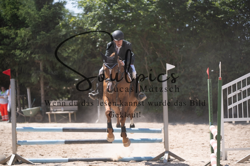 A7V08589 | Pferdefotograf