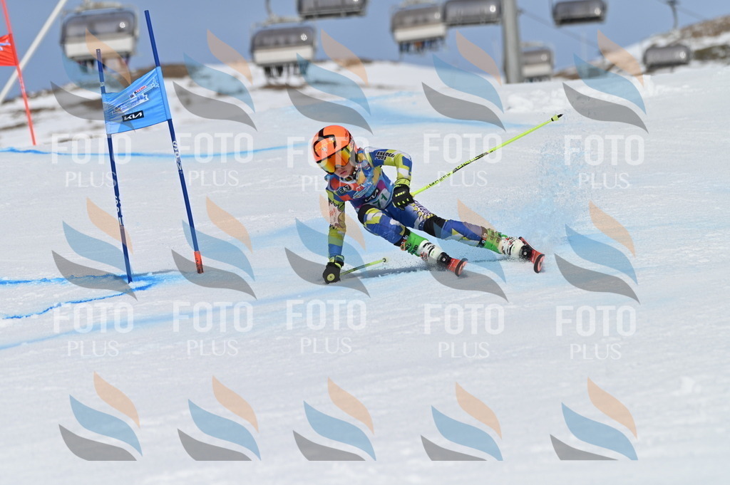 BGV_3381 | holidayphoto