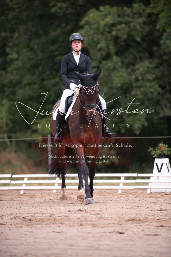 DSC_9600 | Pferde- und Turnierfotografie in Westsachsen. Pferdeportraits, Auftragszeichnungen und intuitive Kunst.
