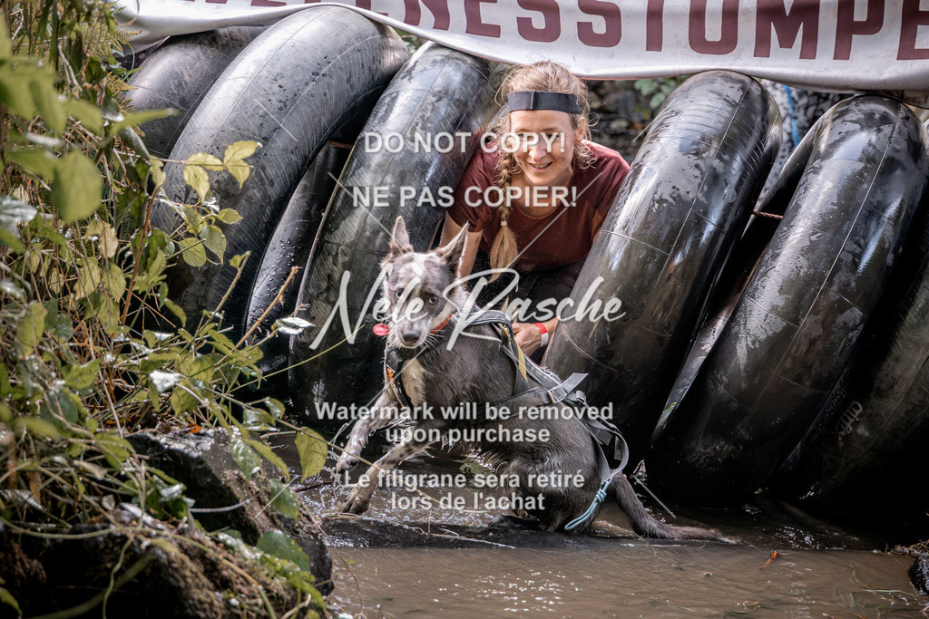 nelerasche_Hunsrück2026_Sa1400-1500_353 | nelerasche