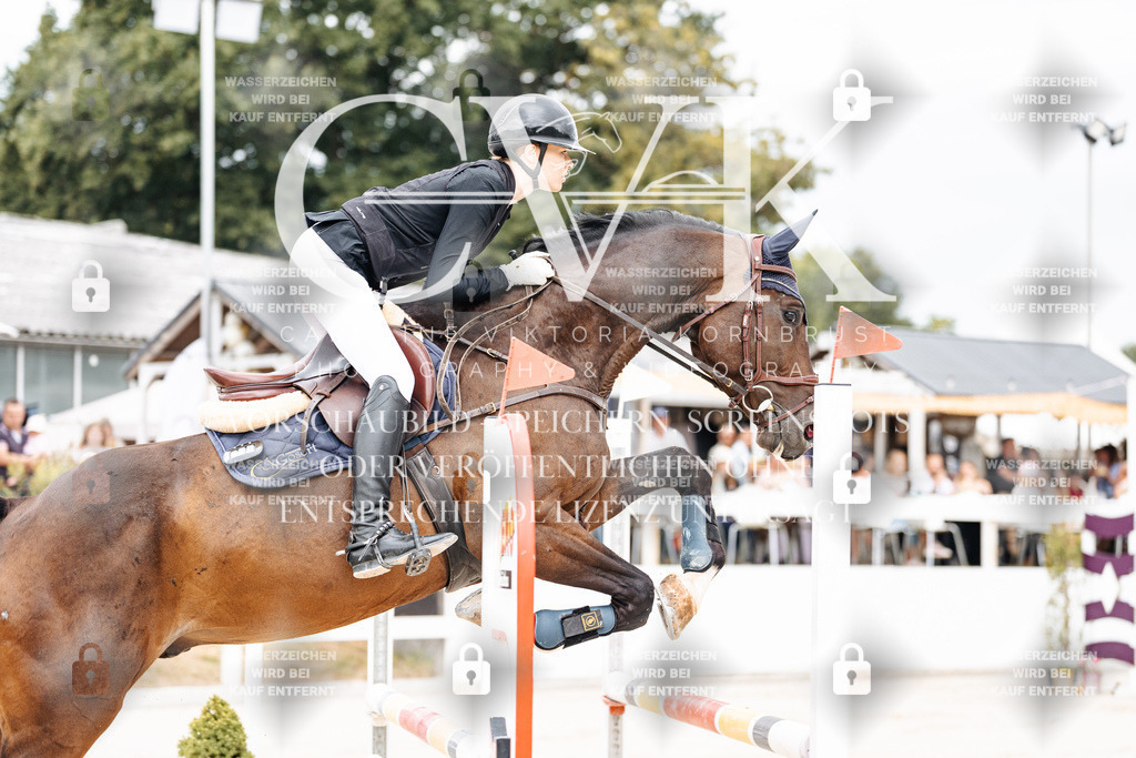 CK906205 | Turnierfotografie Pferdefotografie Trier Rheinland-Pfalz Pferdesport Reitsport Tierfotografie Sportfotografie Pferdevideo Pferdevideografie Equestrianvideography equestrianphotography  - Realisiert mit Pictrs.com