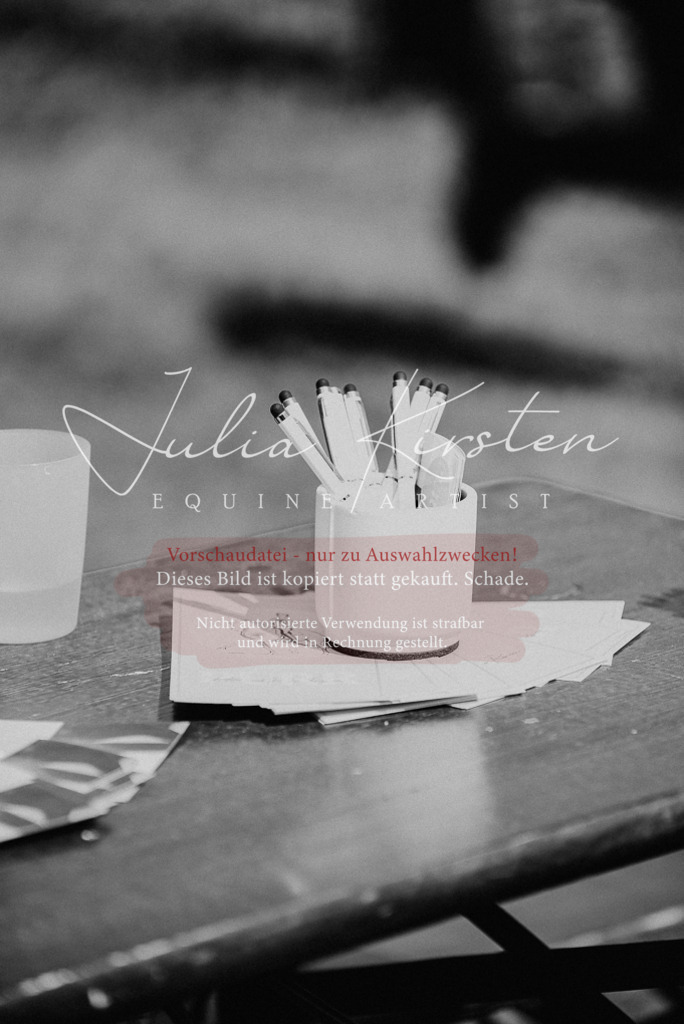 DSC_8878 | Pferde- und Turnierfotografie in Westsachsen. Pferdeportraits, Auftragszeichnungen und intuitive Kunst.