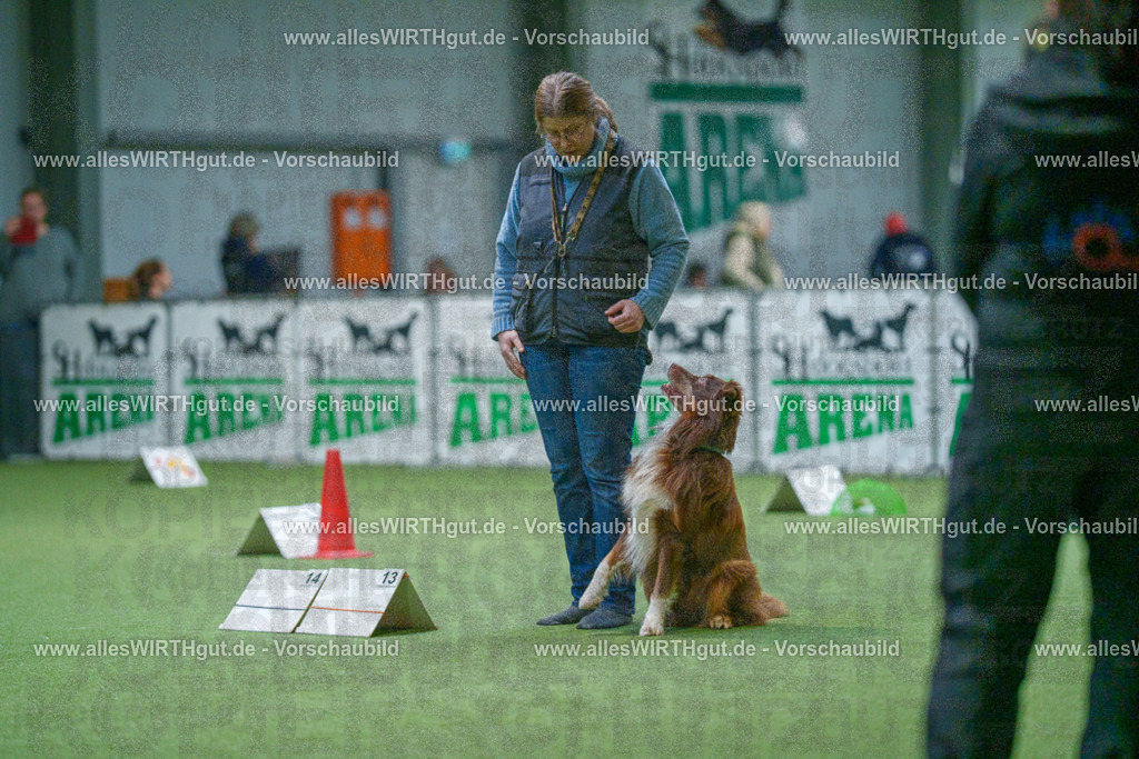 7R500862 | Professionelle Tierfotografie in Mönchengladbach von Daniel Wirth (allesWIRTHgut). Liebevolle & natürliche Bilder von Hunden & Katzen für unvergessliche Erinnerungen.