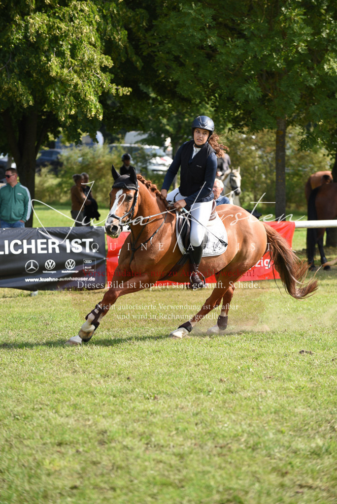 DSC_8915 | Pferde- und Turnierfotografie in Westsachsen. Pferdeportraits, Auftragszeichnungen und intuitive Kunst.