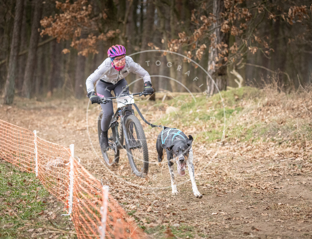 Pfotenfotografie_DV3A1295 | Hundefotografie, Tierfotograf, Pfotenfotografie, Fotoshooting Hund, Hunde Portrait, Hundesport, Hundeportraits, Heideshooting, Hunde, Sportfotograf, Hundefotograf, Turnierhundsport, THS,  - Realisiert mit Pictrs.com