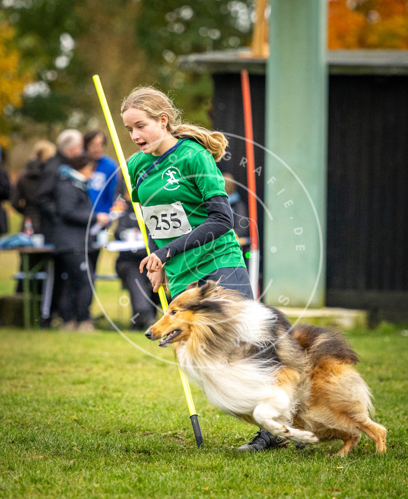 Pfotenfotografie_DV3A0369 | Hundefotografie, Tierfotograf, Pfotenfotografie, Fotoshooting Hund, Hunde Portrait, Hundesport, Hundeportraits, Heideshooting, Hunde, Sportfotograf, Hundefotograf, Turnierhundsport, THS,  - Realisiert mit Pictrs.com
