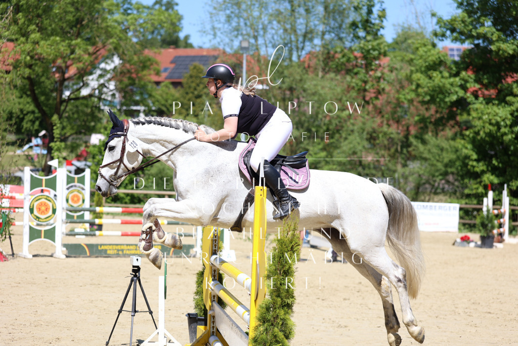 IMGS8246 | pl-fotografie