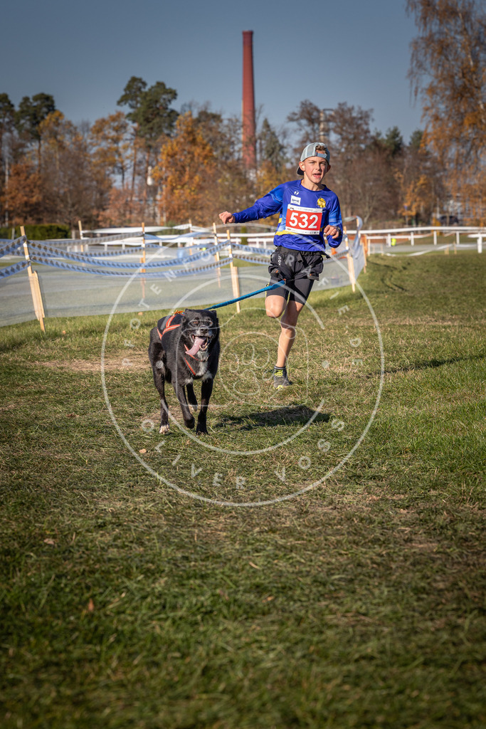 CaniXpix_0L8A7349 | Hundefotografie, Tierfotograf, Pfotenfotografie, Fotoshooting Hund, Hunde Portrait, Hundesport, Hundeportraits, Heideshooting, Hunde, Sportfotograf, Hundefotograf, Turnierhundsport, THS,  - Realisiert mit Pictrs.com