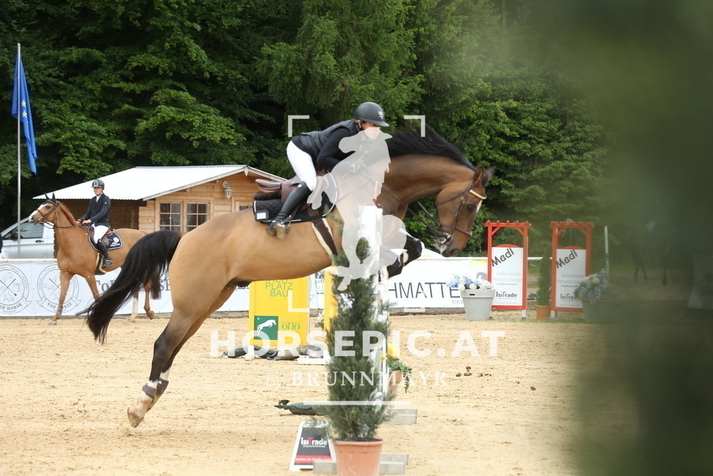 DL2Q2550 | Willkommen bei Brunnmayr - Design & Fotografie – Ihrem Spezialisten für Reitturniere und Pferdeveranstaltungen in Oberösterreich, Salzburg und Bayern! Seit über 17 Jahren sind wir leidenschaftlich dabei.