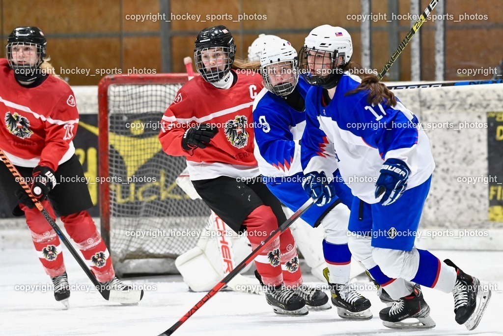 BST_3452 | hockey sports photos, Pressefotos, Sportfotos, hockey247, win 2day icehockeyleague, Handball Austria, Floorball Austria, ÖVV, Kärntner Eishockeyverband, KEHV, KFV, Kärntner Fussballverband, Österreichischer Volleyballverband, Alps Hockey League, ÖFB, 