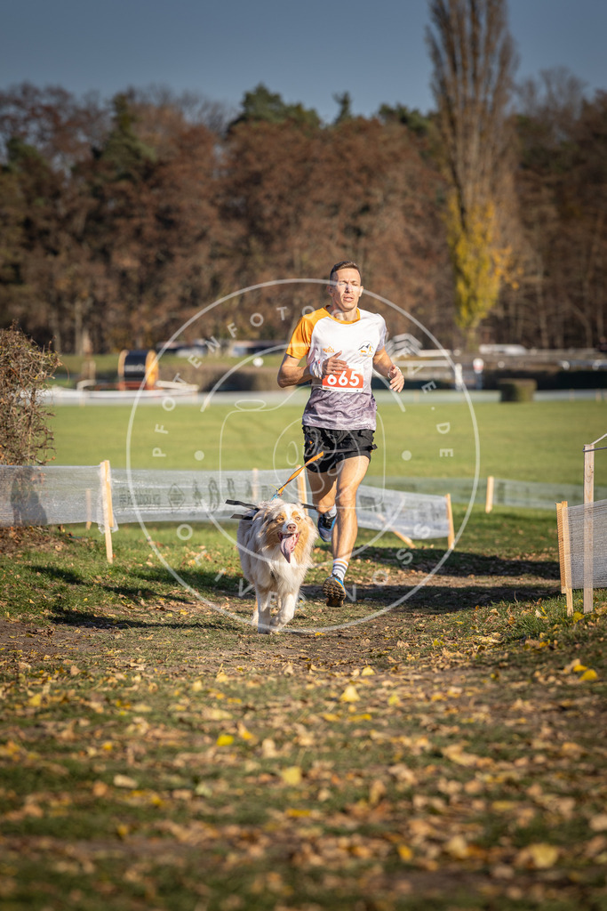 CaniXpix_DV3A0733 | Hundefotografie, Tierfotograf, Pfotenfotografie, Fotoshooting Hund, Hunde Portrait, Hundesport, Hundeportraits, Heideshooting, Hunde, Sportfotograf, Hundefotograf, Turnierhundsport, THS,  - Realisiert mit Pictrs.com