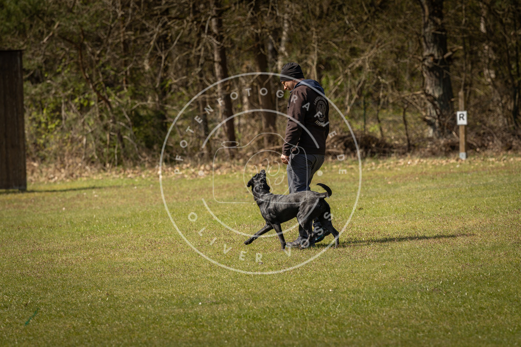 Pfotenfotografie_DV3A1214 | Hundefotografie, Tierfotograf, Pfotenfotografie, Fotoshooting Hund, Hunde Portrait, Hundesport, Hundeportraits, Heideshooting, Hunde, Sportfotograf, Hundefotograf, Turnierhundsport, THS,  - Realisiert mit Pictrs.com