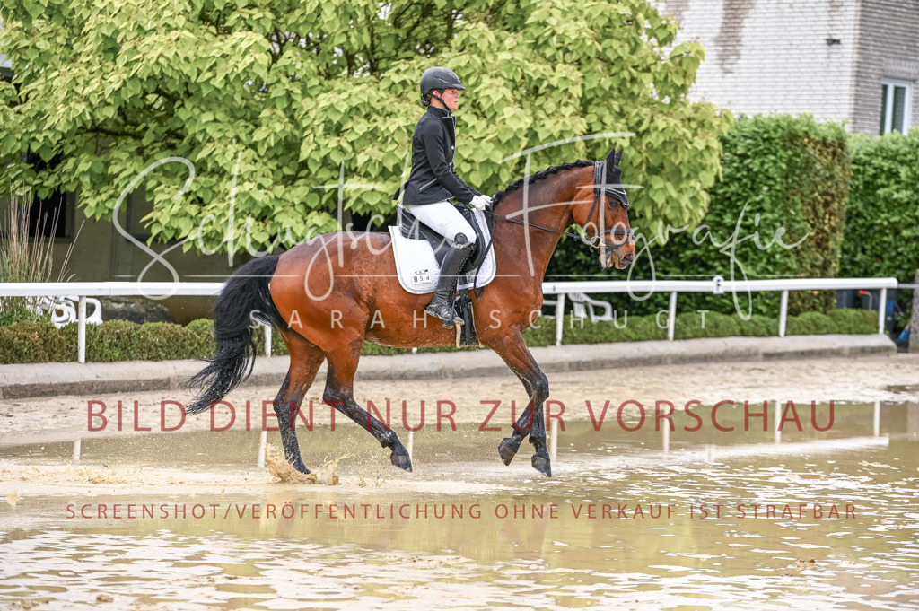 Schugtsche-Aluta25-54.Dressurprf.L1Trense-148 | Schugtsche Fotografie - Realisiert mit Pictrs.com
