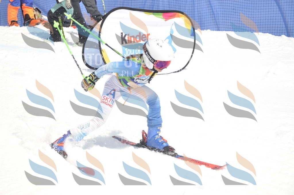 _ELE9095 | holidayphoto