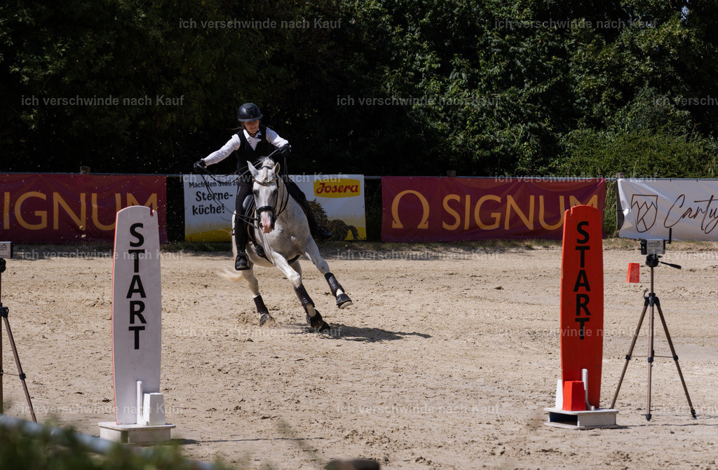 WM_SP_133_SinaFilmArt_IN08022 | working equitationturnier fotograf videograf stoibphotography marixx film working equitation deutschland reitsport turnierfotografie eventfotografie equestrian events