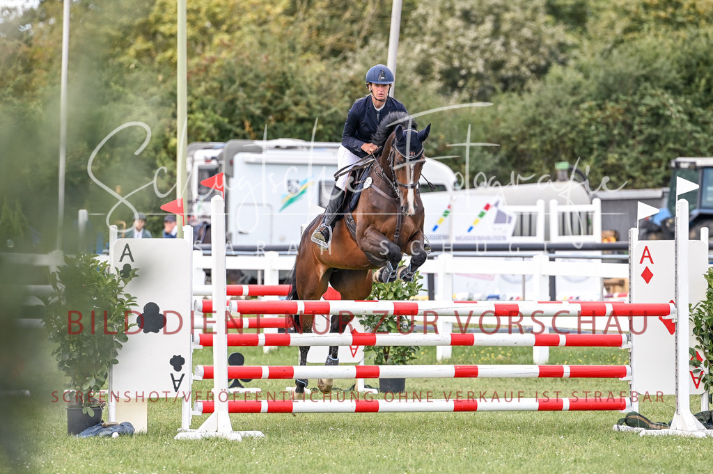 Schugtsche-Düren.2024-08.Amat.Springprf.L-139 | Schugtsche Fotografie - Realisiert mit Pictrs.com