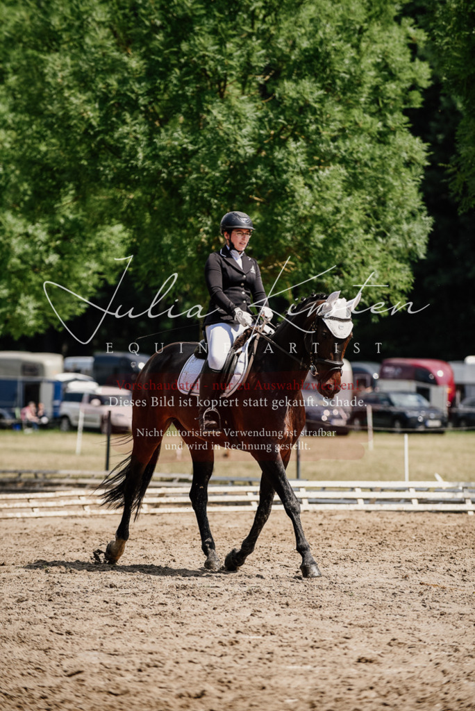 DSC_1042 | Pferde- und Turnierfotografie in Westsachsen. Pferdeportraits, Auftragszeichnungen und intuitive Kunst.