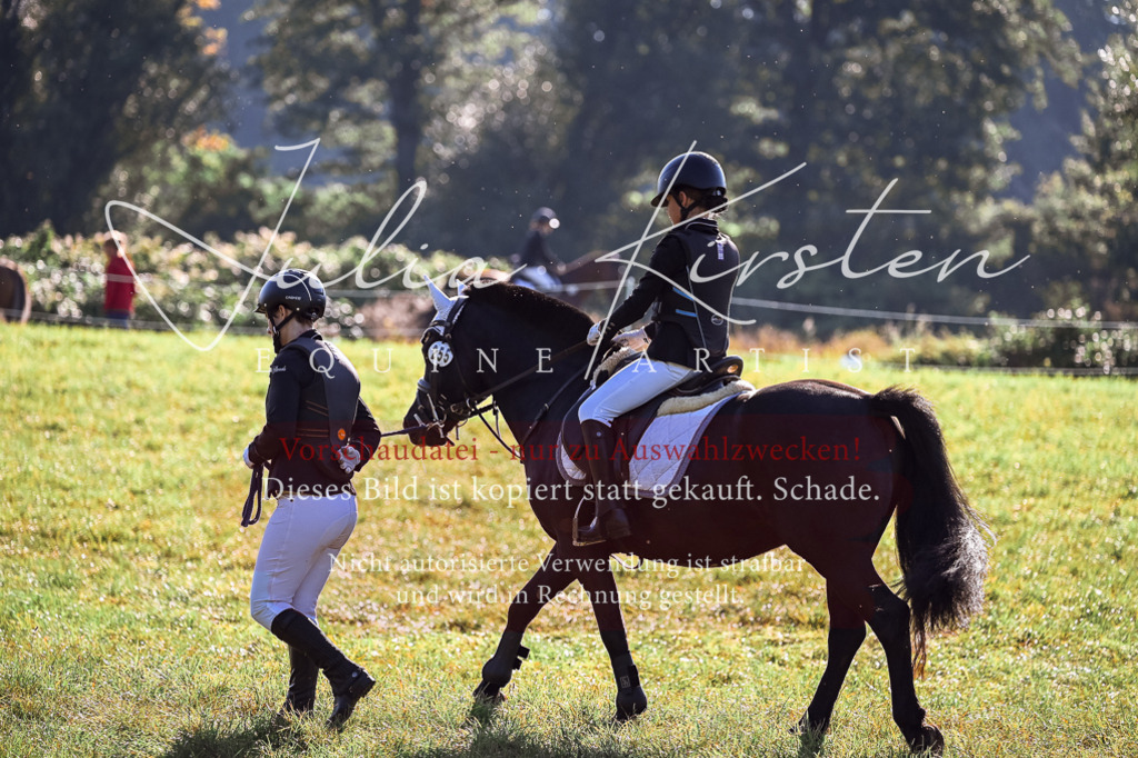 DSC_0346 | Pferde- und Turnierfotografie in Westsachsen. Pferdeportraits, Auftragszeichnungen und intuitive Kunst.