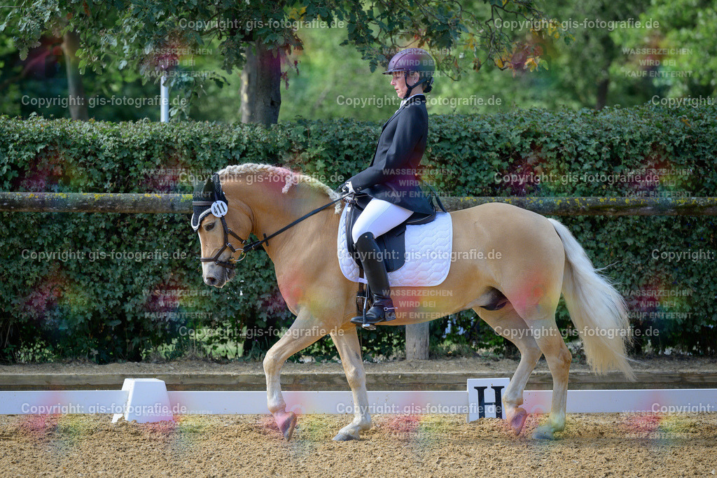 Poldnetzki_Meike_Sapralott_230722_12 | gis-fotografie