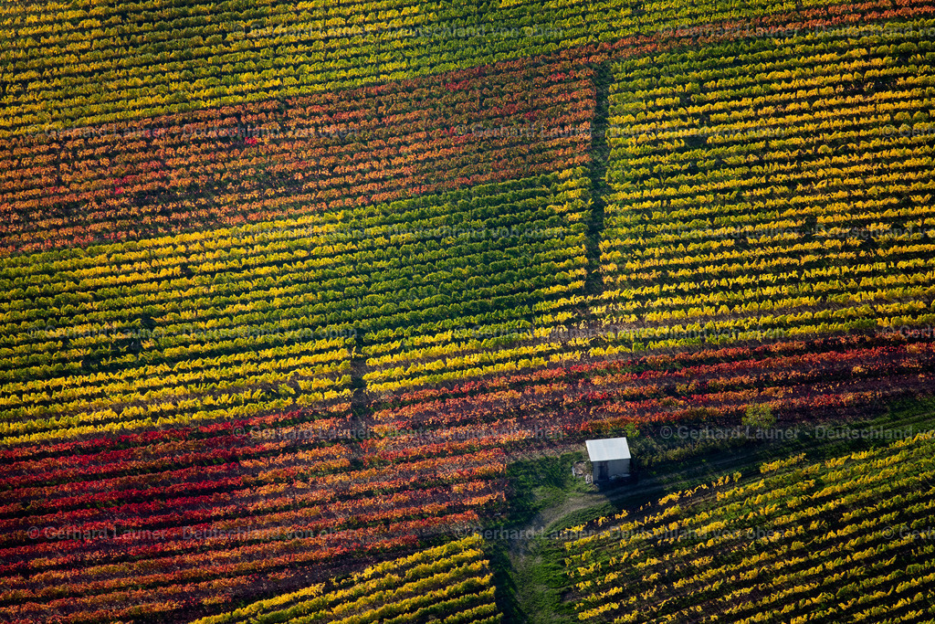 3905291 | Weinberge am Busigberg Großheubach