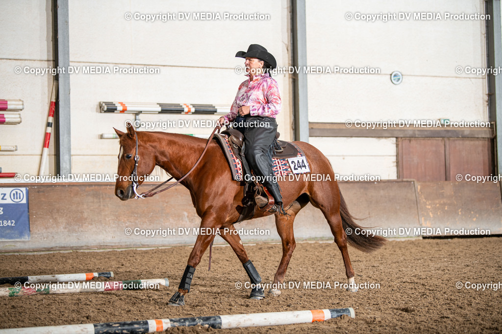 Heiligenwald Tag 1-1127 | dv-media-shop - Realisiert mit Pictrs.com