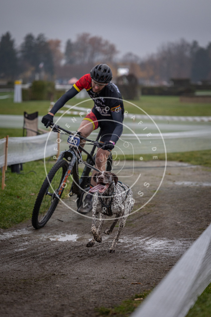 CaniXpix_0L8A1181 | Hundefotografie, Tierfotograf, Pfotenfotografie, Fotoshooting Hund, Hunde Portrait, Hundesport, Hundeportraits, Heideshooting, Hunde, Sportfotograf, Hundefotograf, Turnierhundsport, THS,  - Realisiert mit Pictrs.com